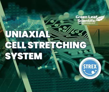 Uniaxial Cell Stretching System
