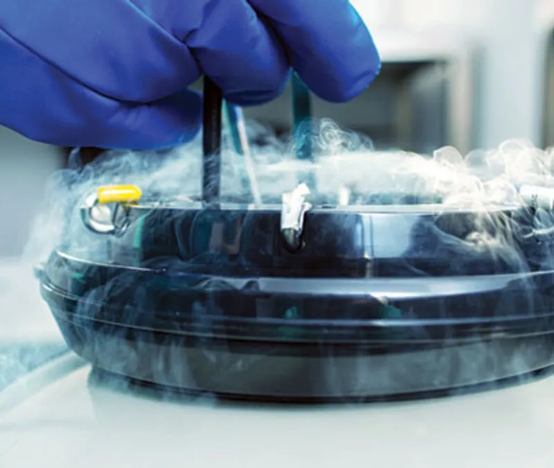 Nitrogen Evaporators Green Leaf Scientific